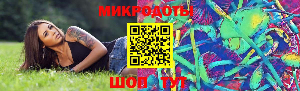 Галлюциногенные грибы мицелий  Вход с VPN  Галлюциногенные грибы MAGIC MUSHROOMS  Камышлов 