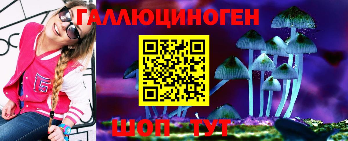 Галлюциногенные грибы Psilocybine cubensis Камышлов